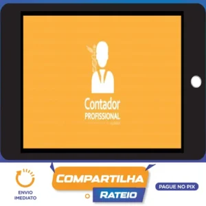 Contador Profissional: Vivendo de Contabilidade - Angélica Flor