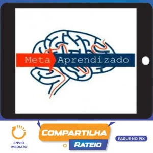 Meta Aprendizado Acelerado - Marcelo Maia