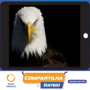 Mentoria Águias Do Tiktok - Samuka