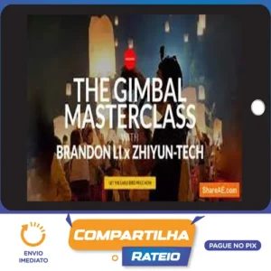 The Gimbal Masterclass - Brandon Li [INGLÊS]