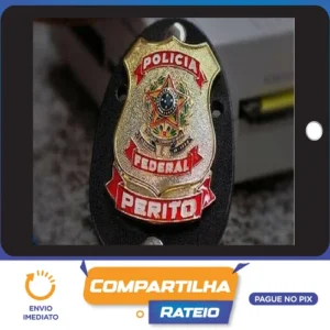 Polícia Federal (Perito, Área 3, TI) - Estratégia Concursos