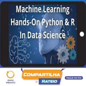 Machine Learning A-Z™ Hands-On Python & R In Data Science - Apex Education [Inglês]