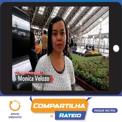 Japonês Básico: Escreva em Japonês - Monica Velozo