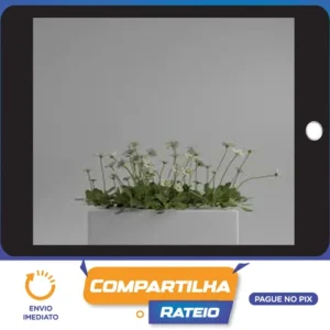 Shading no Blender para Iniciantes - Rafael Vallaperde