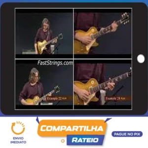 Art Of Blues Rhythm - Robben Ford [INGLÊS]