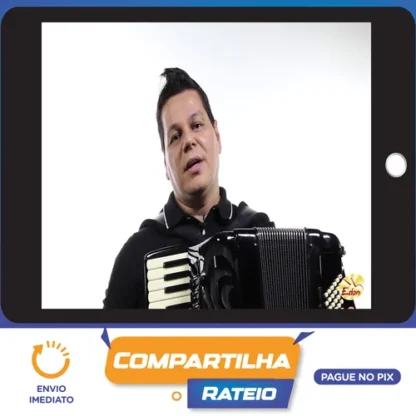 Curso de Acordeon Intermediário: Vol. 4 - Paulinho Marques