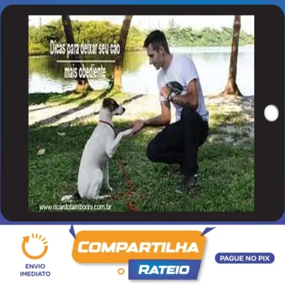 Desafio Cão Obediente - Marcelo Bessa