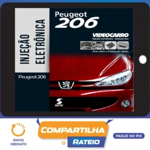 Injeção Eletrônica: Peugeot 206 - VideoCarro