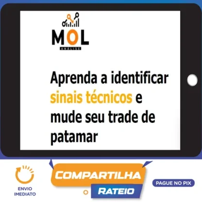 Combo Livro Mol + Curso Day Trade Discricionário - Bruno Rafael